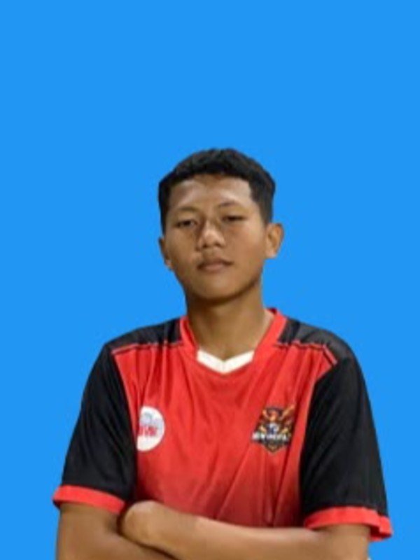 M DAMAR SATRIA