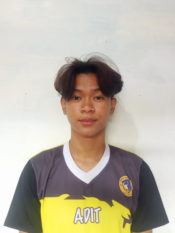 Aditya Halim