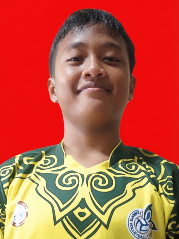 WISNU HANDOKO