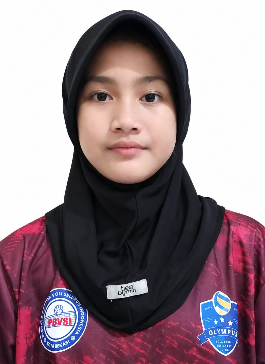 Mozaik
